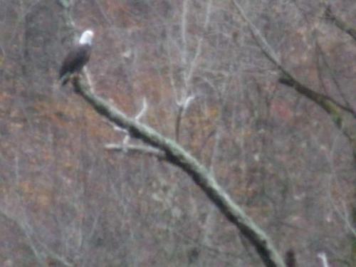 12:09:09 GMT+0100 (WAT)