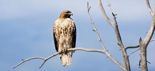 21:01:52 GMT-0800 (PST)