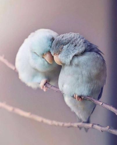 144279098_1788210251345179_6343046297132002008_o