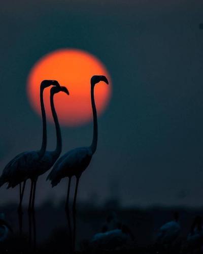 143155620_1785912748241596_173712111292218224_o