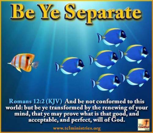 16:50:32 GMT-0600 (CST)