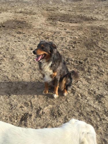 08:22:54 GMT-0800 (PST).image