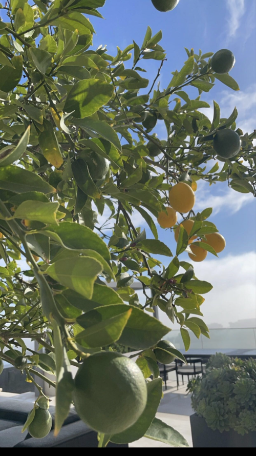 09:02:33 GMT-0500 (EST).image