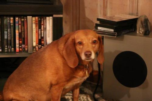 19:30:38 GMT-0600 (CST).image