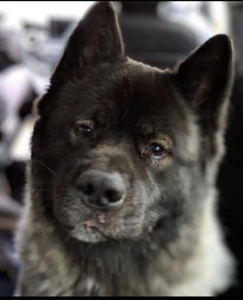 11:28:56 GMT+0100 (WAT).image