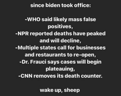 bullshit00