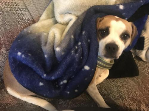 11:06:08 GMT-0500 (EST).image