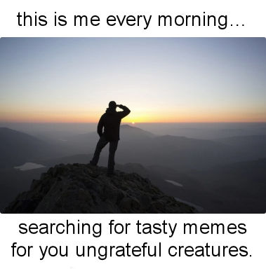 searching00