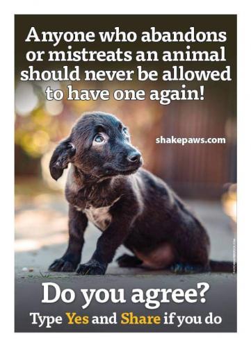 19:24:56 GMT-0500 (EST)