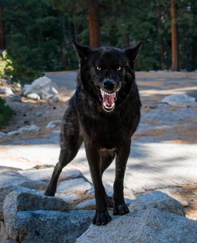 133781671_226686095692091_110807781797372292_o