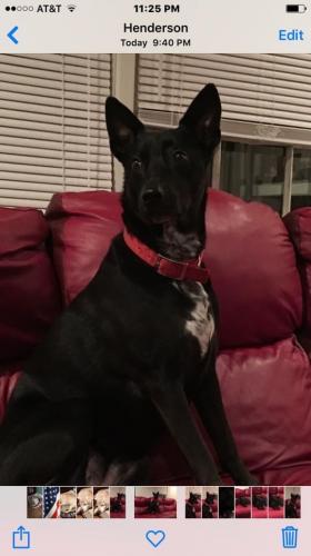 10:15:39 GMT-0600 (CST).image