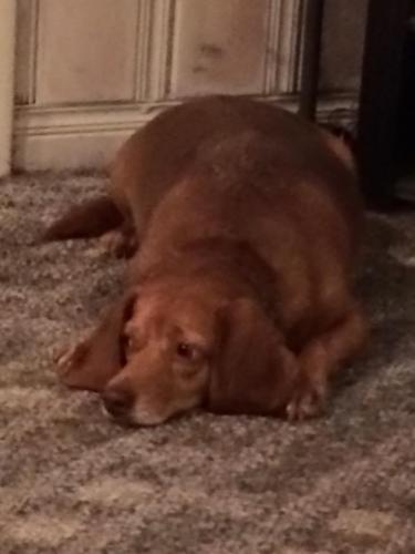 19:28:02 GMT-0600 (CST).image