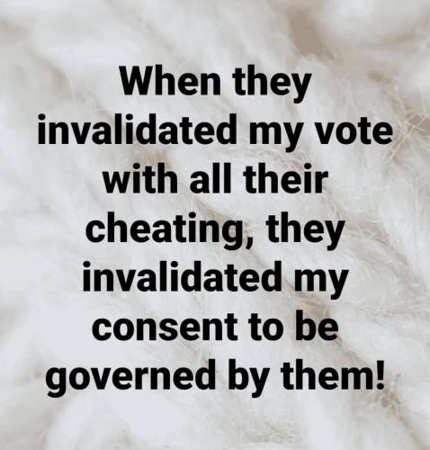 When+they+invalidated+my+vote