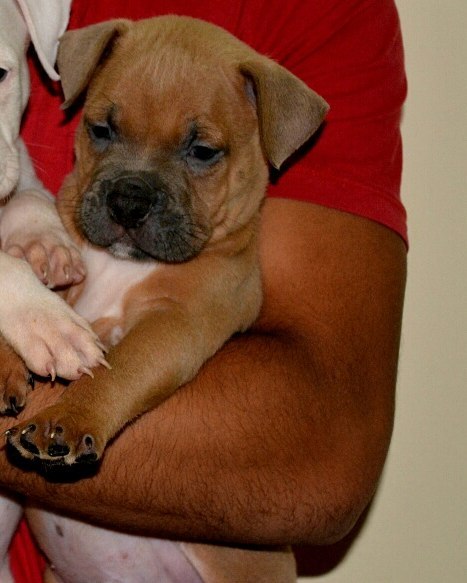 00:43:21 GMT-0500 (EST)