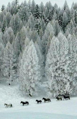 136427866_1490515717814440_7749248151122331407_n