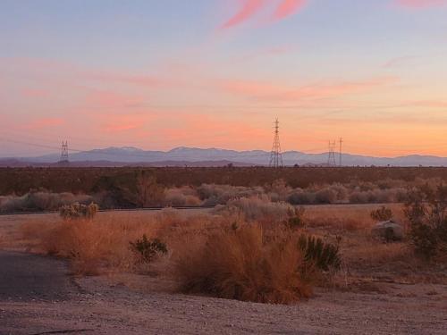 135541057_665811717448969_5835352667258857021_o