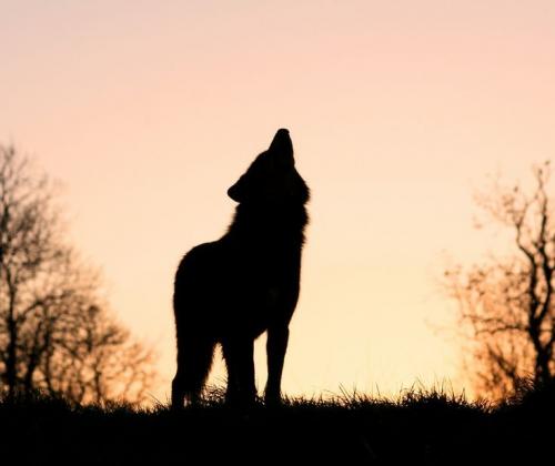 10:11:19 GMT-0600 (CST)