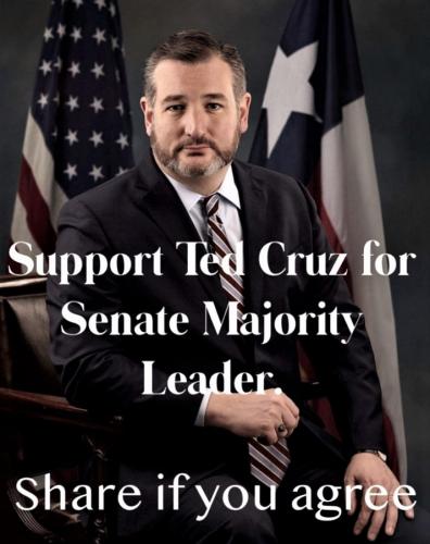 Support Ted Cruz