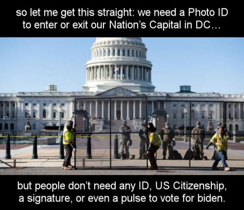 voterfraud115