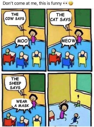 915303C8BB9849FFBBB2FED84780C383