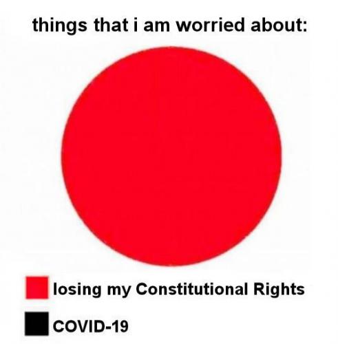 constitutional rights01