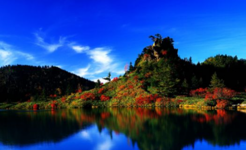 Screenshot 2021-02-24 at 7.37.56 AM