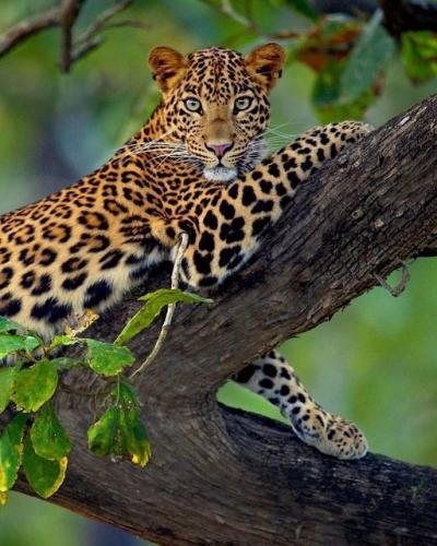 151619237_116710260390345_7513238841470679529_o