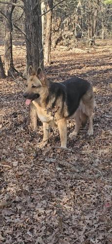 21:03:27 GMT-0600 (CST)