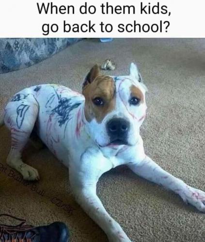 91893117_10158263428318464_300891561783197696_n