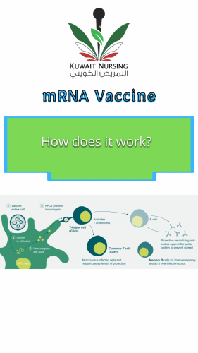 21:00:16 GMT+0300 (+03).image
