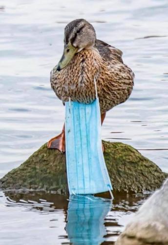 15:22:14 GMT-0600 (CST)