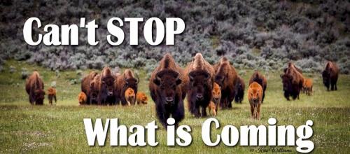 Cant STOP What is Coming c KW