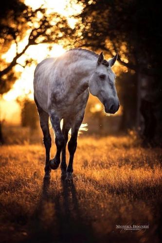 18:43:53 GMT-0600 (CST)