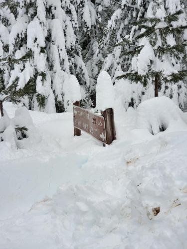 13:00:22 GMT-0800 (PST)