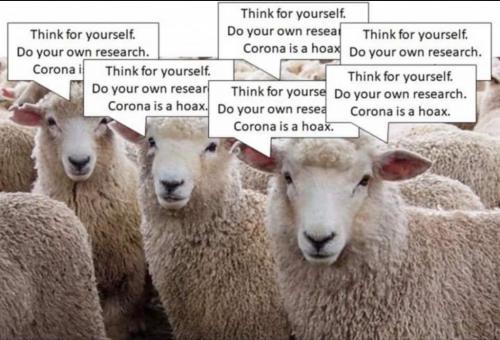 11:52:27 GMT-0500 (EST)