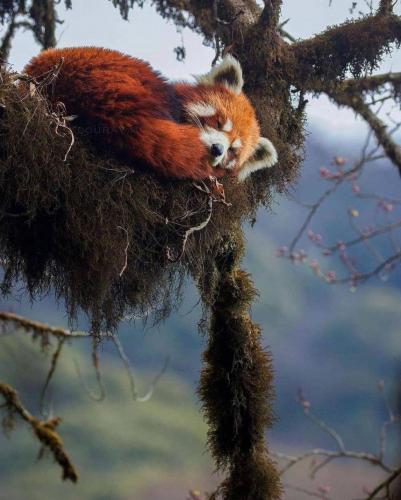 145737722_1790814497751421_4594168554345588128_o