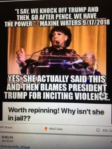 maxine waters the racist pig