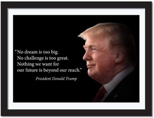 51sIGB6eN9L._AC_SL1024_