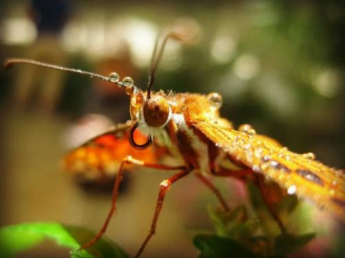 23:26:13 GMT-0800 (PST)