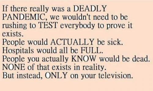 117302200_3409173549133466_1059428019926563605_n