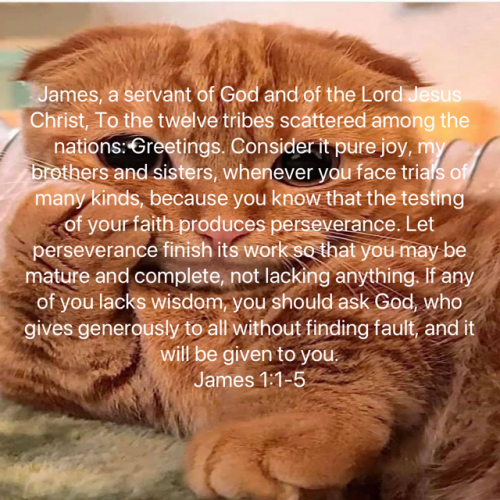 21:50:28 GMT-0500 (EST).image