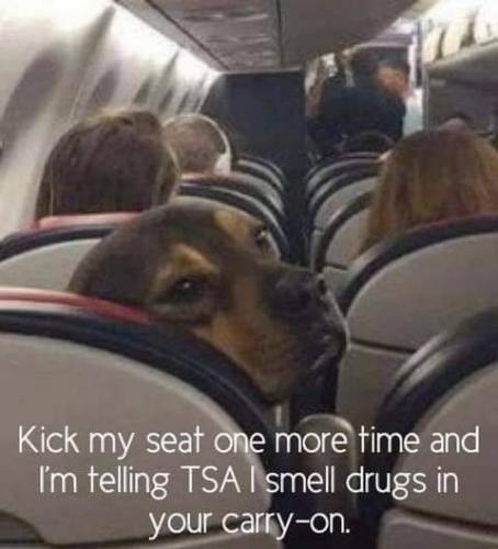 19:21:03 GMT-0800 (PST)