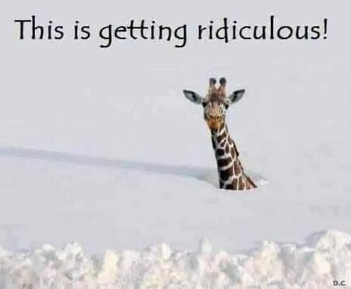 11:05:07 GMT-0600 (CST)