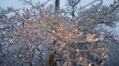 08:06:24 GMT-0500 (EST)