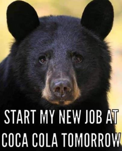 19:48:28 GMT-0600 (CST)