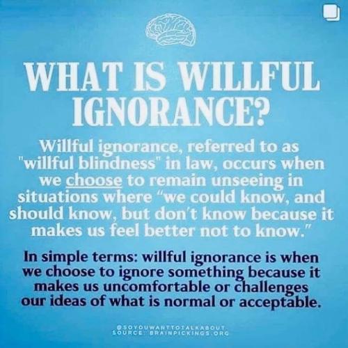 116691851_10217397186777892_5767413635866379494_n