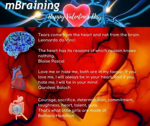 Copy of mBraining-head-heart-gut