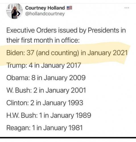 27254