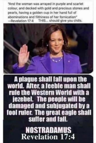 kamala harris110