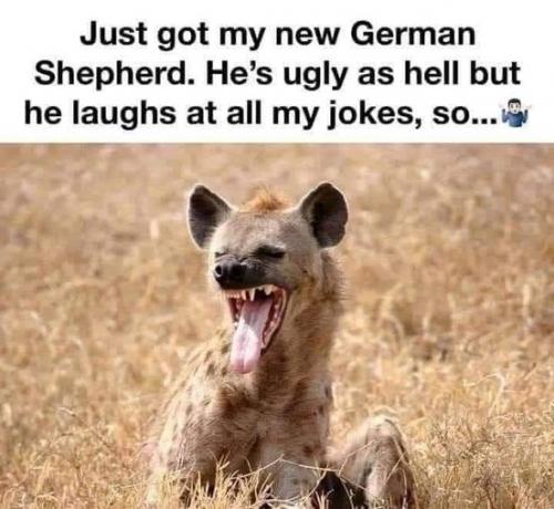 11:40:25 GMT-0600 (CST)